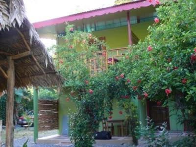Blue Conga Hotel Puerto Viejo de Talamanca Екстериор снимка