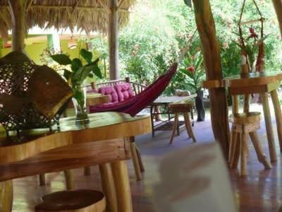 Blue Conga Hotel Puerto Viejo de Talamanca Екстериор снимка