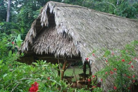 Blue Conga Hotel Puerto Viejo de Talamanca Екстериор снимка