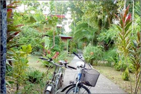 Blue Conga Hotel Puerto Viejo de Talamanca Екстериор снимка